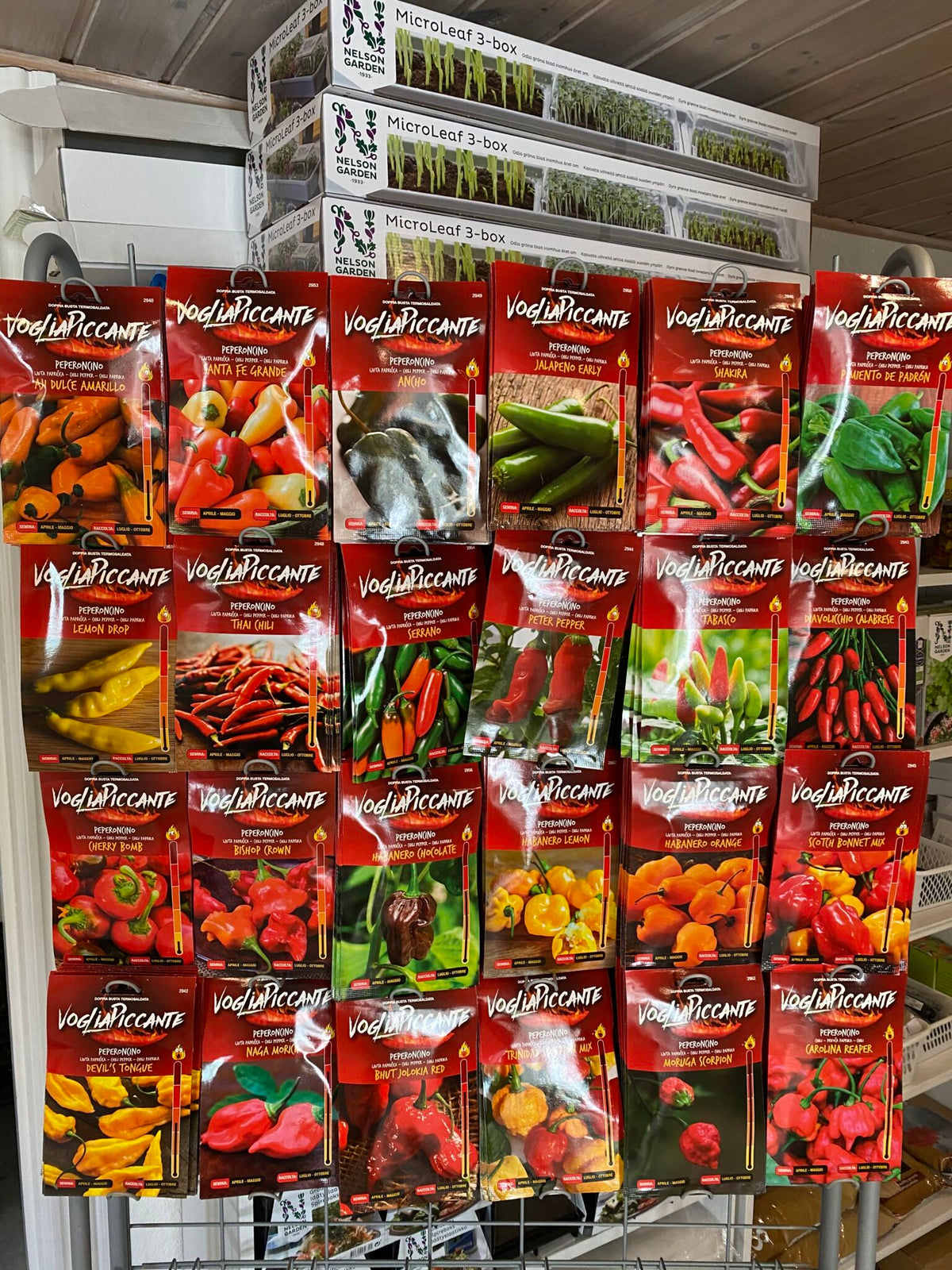 chilifrø