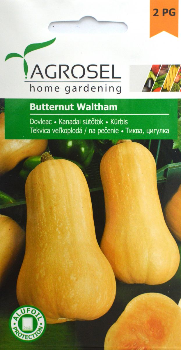 Græskar og Squash - Agrosel