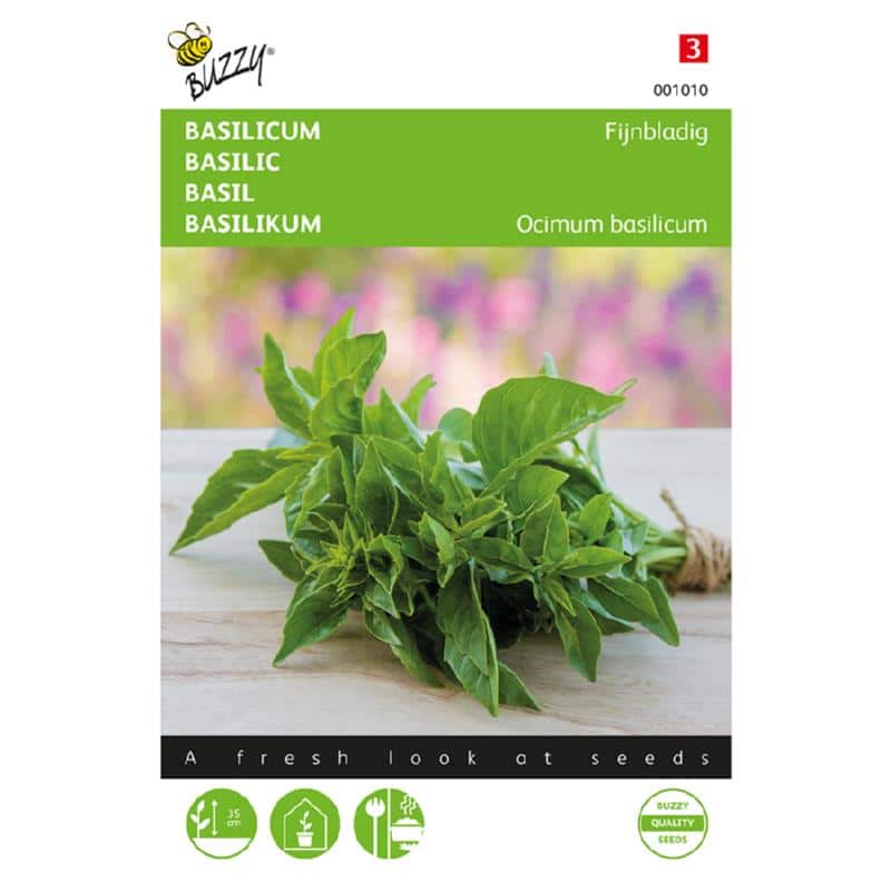 Basilikum - Fijnbladig - Ocimum basilicum