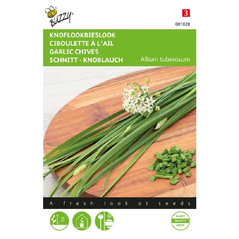 Hvidløgs Purløg - Allium Tuberosum