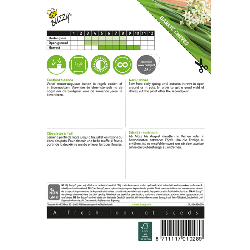 Hvidløgs Purløg - Allium Tuberosum