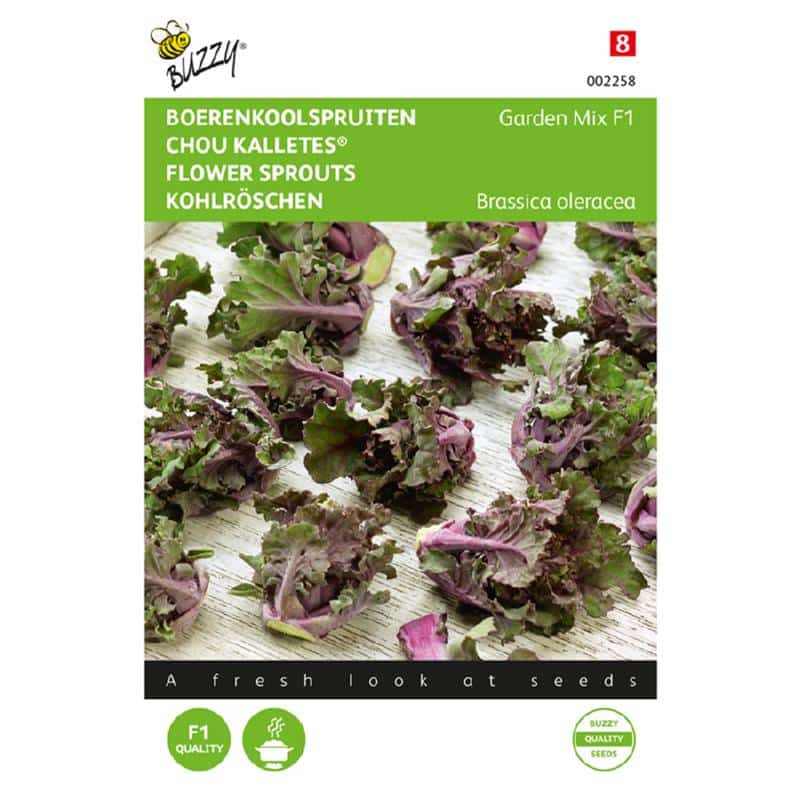 Blomsterkål - Kalettes - Garden Mix F1