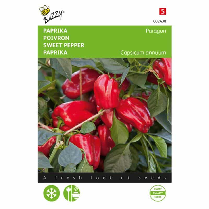 Peberfrugt - Paragon Rød F1 - Redskin