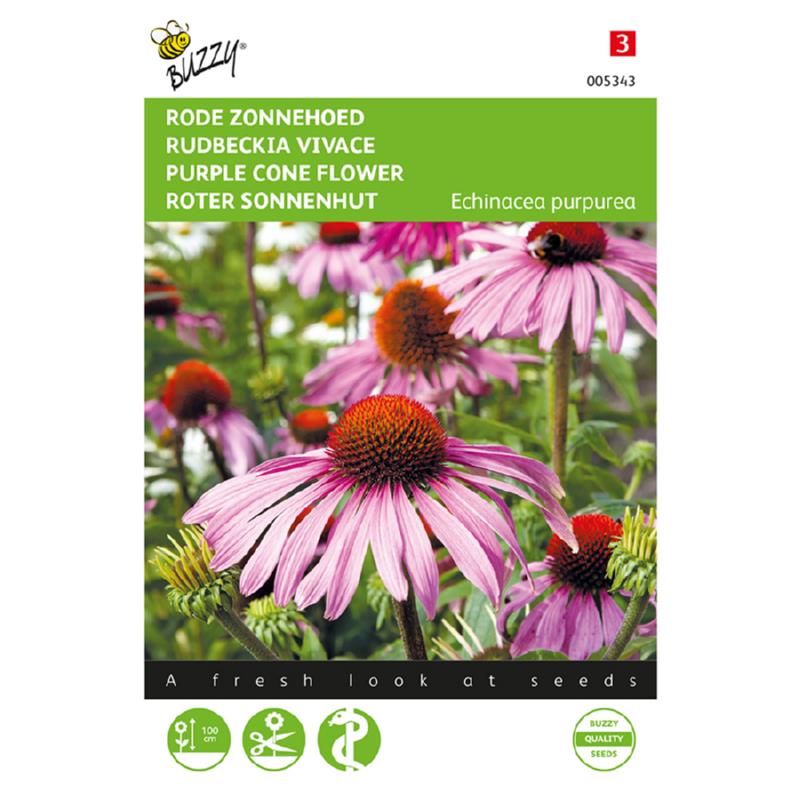 Echinacea purpurea – Purpursolhat