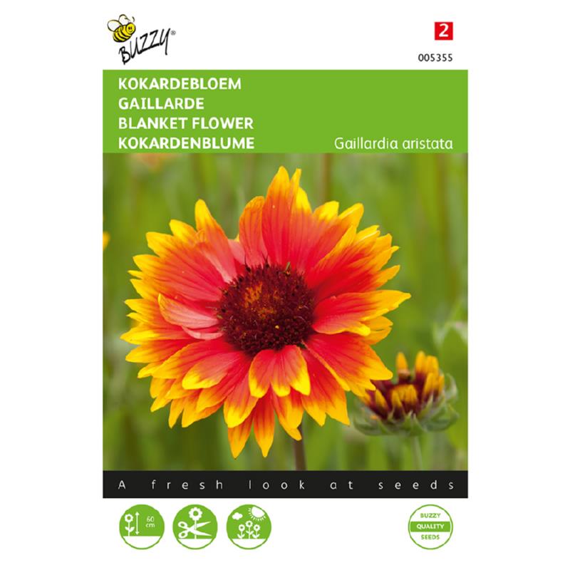 Børste-Kokarde - Gaillardia aristata