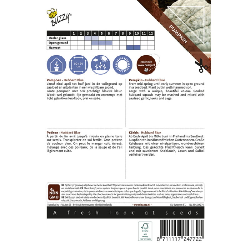 Græskar - Hubbard Blue large