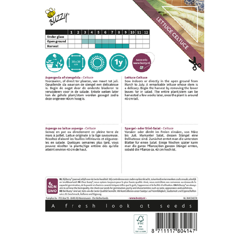 Aspargessalat - Celtuce - Lactuca sativa var. augustana