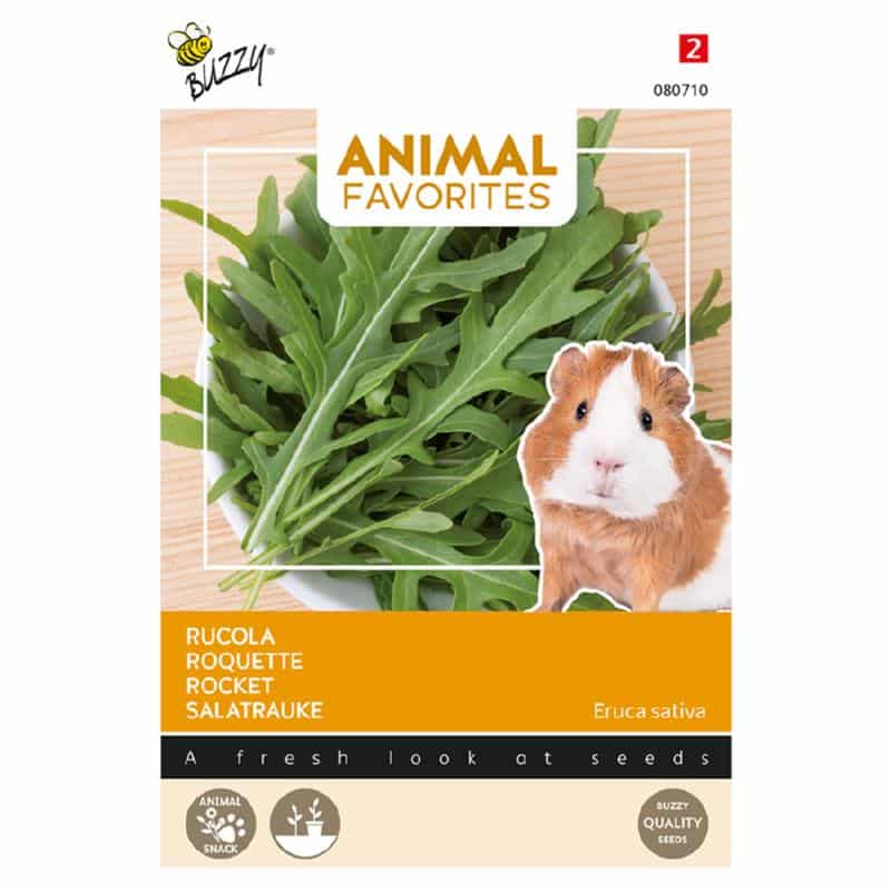 Marsvinets Rucola - Eruca sativa