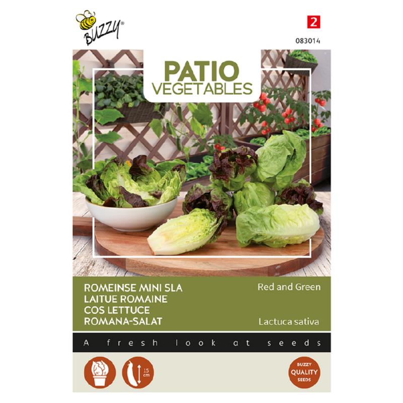 Mini Romaine salat - Red and green