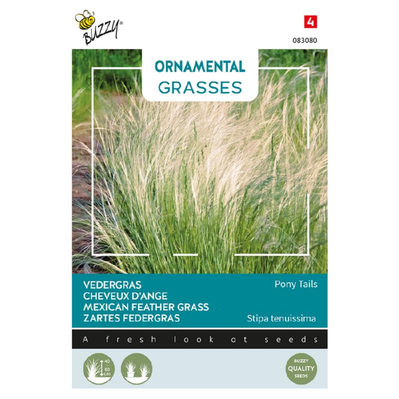 Prydgræs - Pony tails - Stipa Tenussima