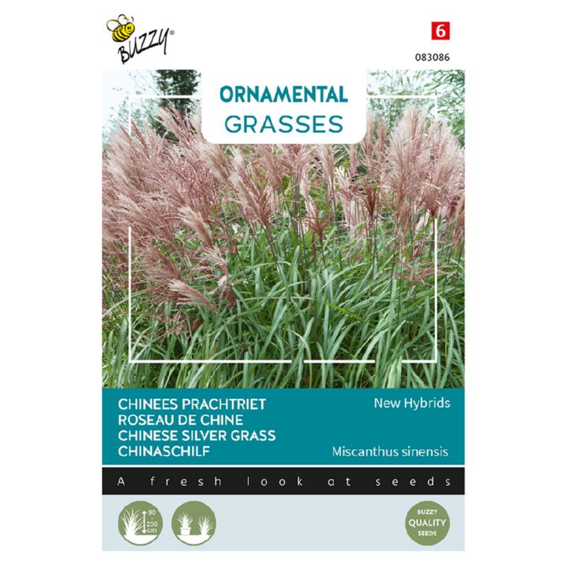 Kinesisk prydgræs - New Hybrids - miscanthus sinenses