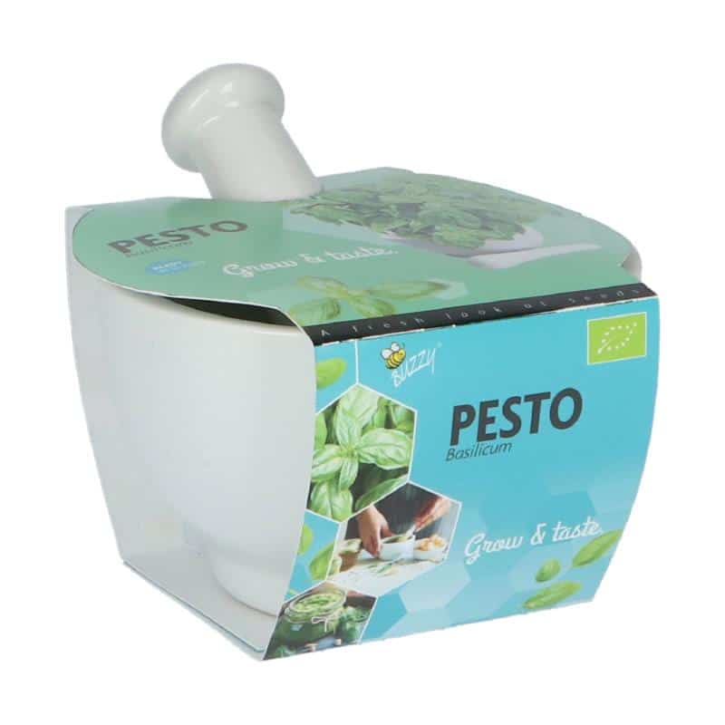 Pesto Mortor - Basilikum