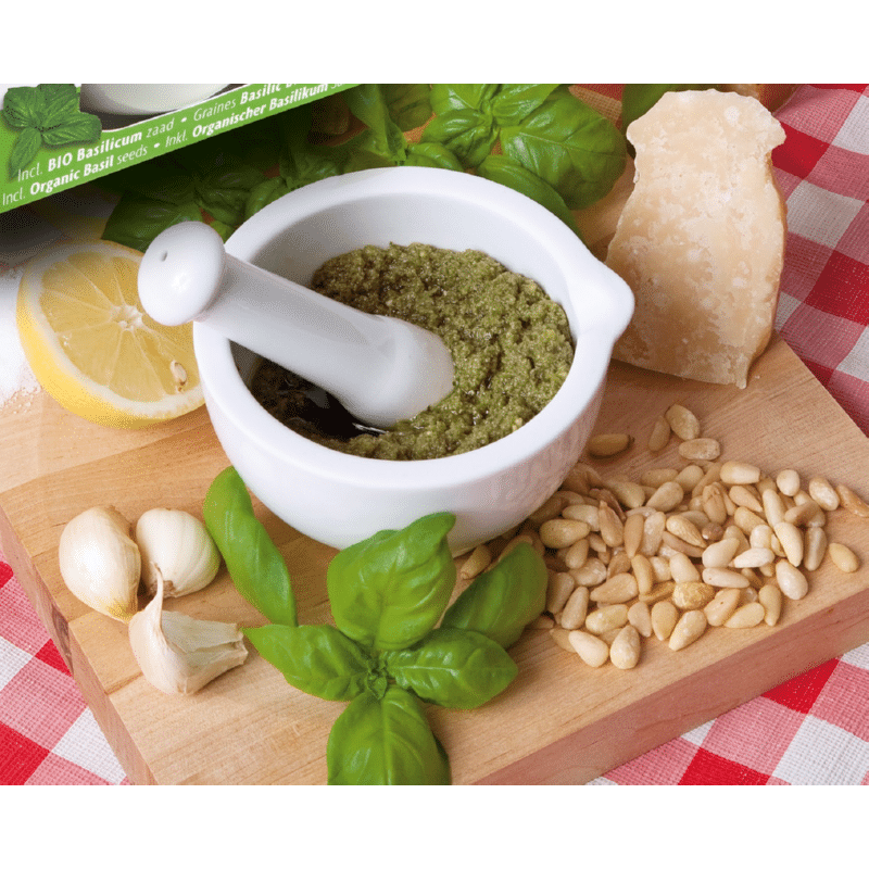 Pesto Mortor - Basilikum
