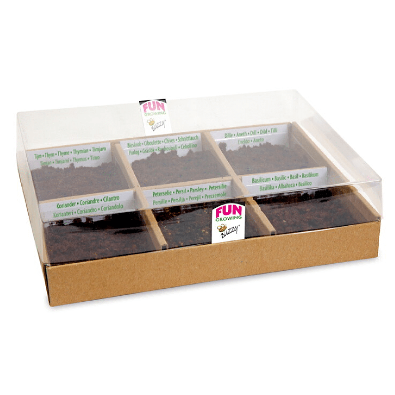 Starter Kit - Tea time - Gro din egen te