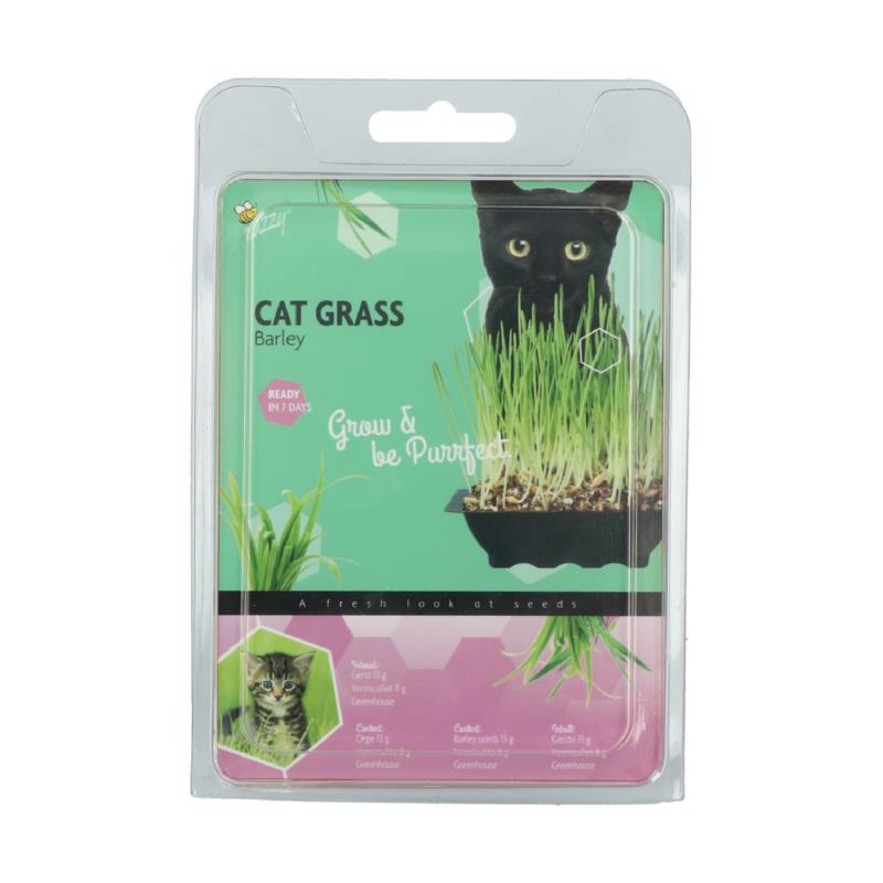 Katte græs - starterkit