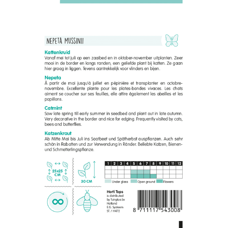 Katteurt - Nepeta