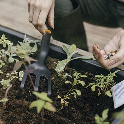 Fiskars Solid™ kultivator