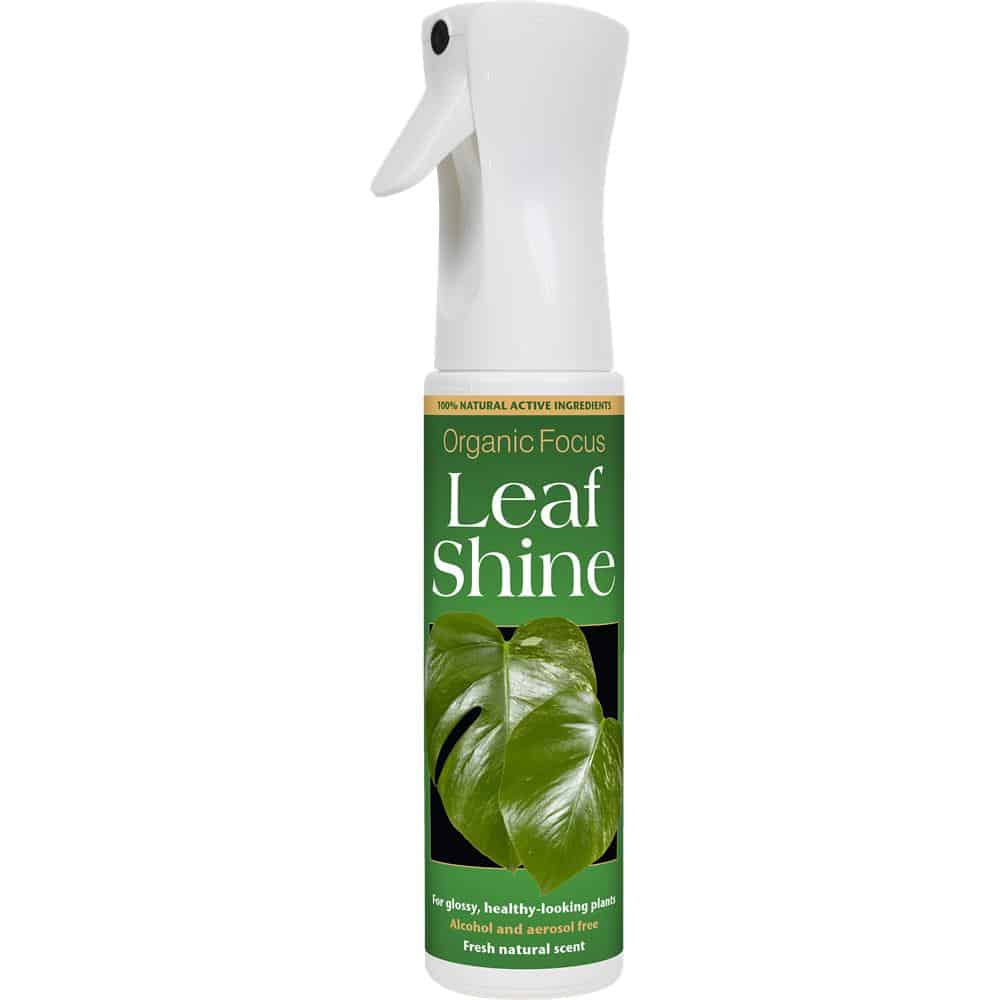 Organisk Focus blad Shine 400ml