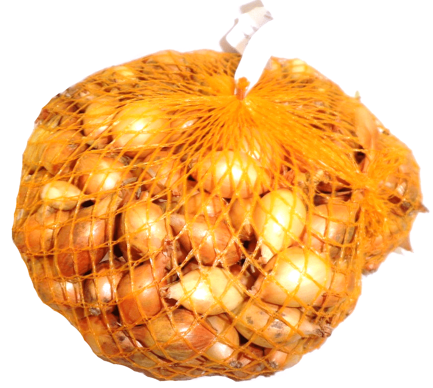 Sætteløg - Sturon 1 kg