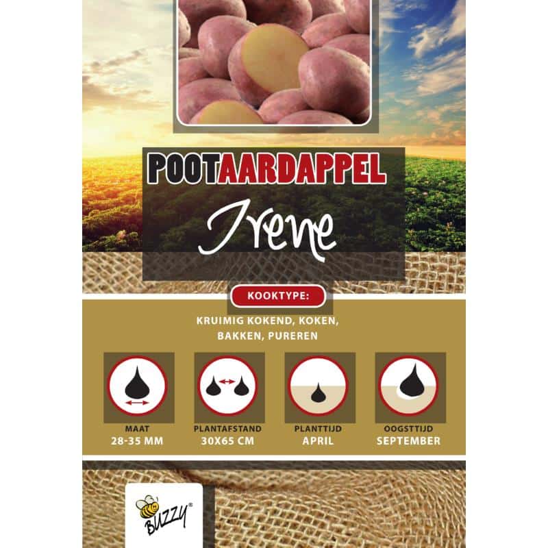 Læggekartoffel - Irene 1KG - Buzzy®
