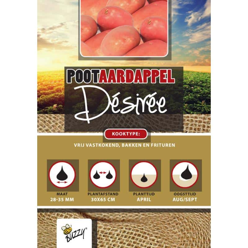 Læggekartoffel - Desiree 1KG - Buzzy®