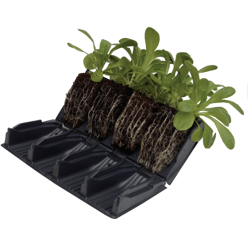 Vækstbakke - Rootrainer - 20 celler