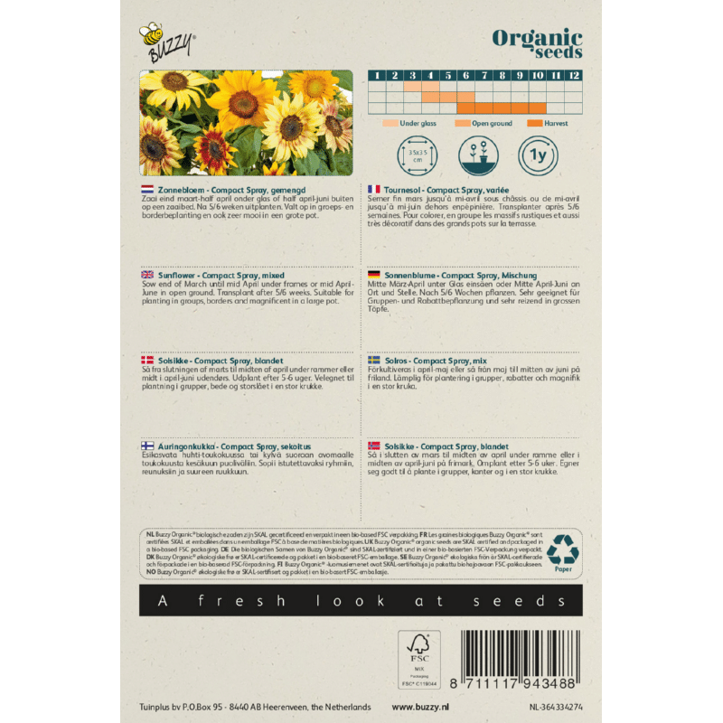 Solsikke - Compact Spray - Helianthus annuus - ØKO