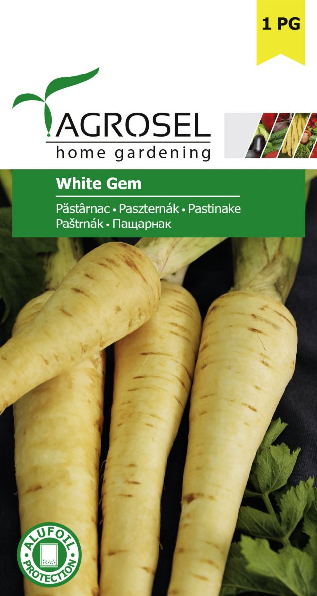 Pastinak - White Gem - pg1