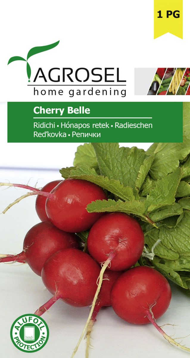 Radis - Cherry Belle - Stor