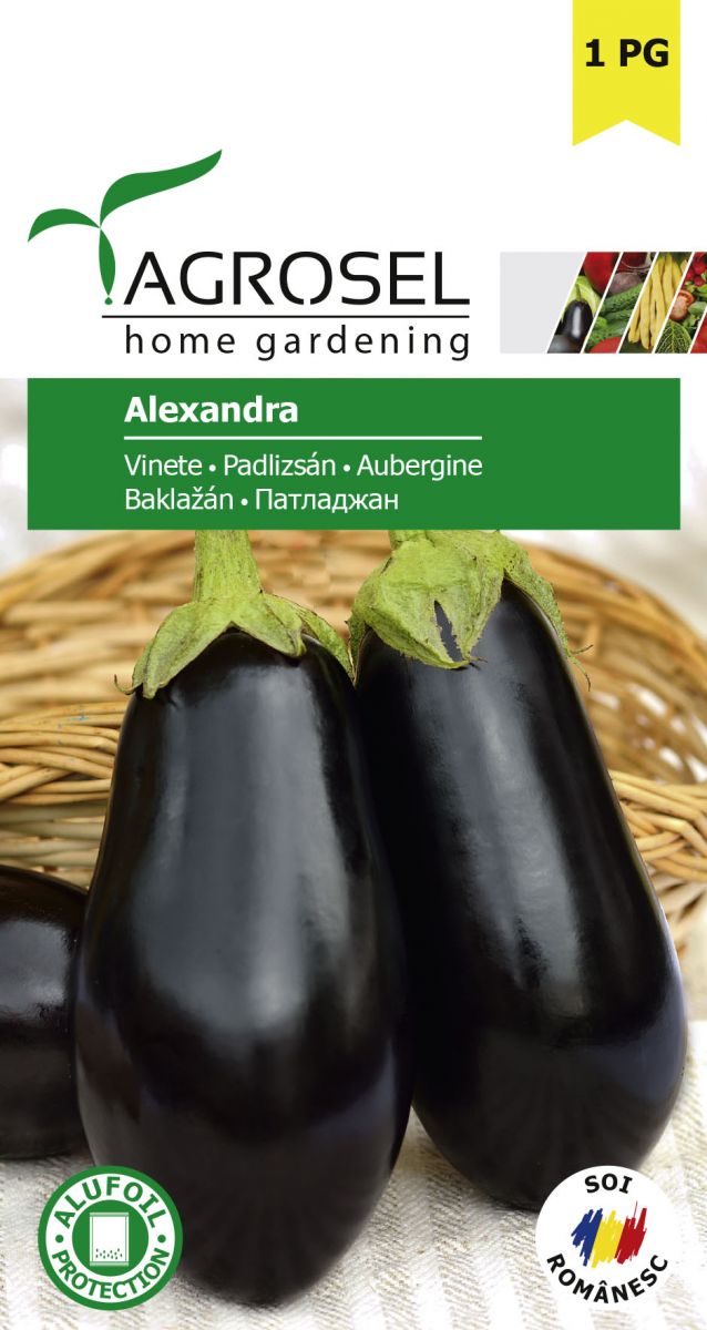 Aubergine - Alexandra - mellem pk