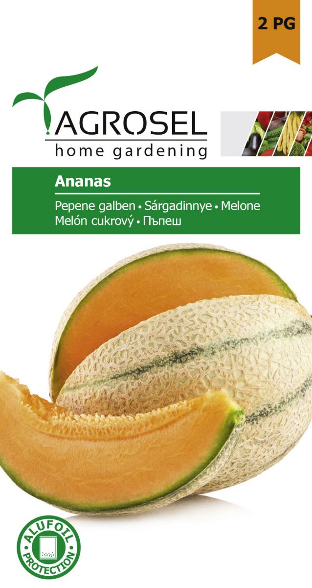 Melon - Ananas - PG2