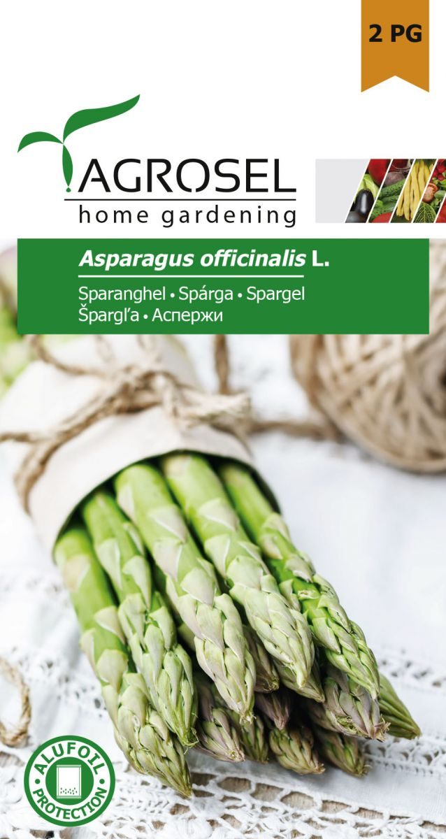Asparges - Asparagus Officinalis - PG2