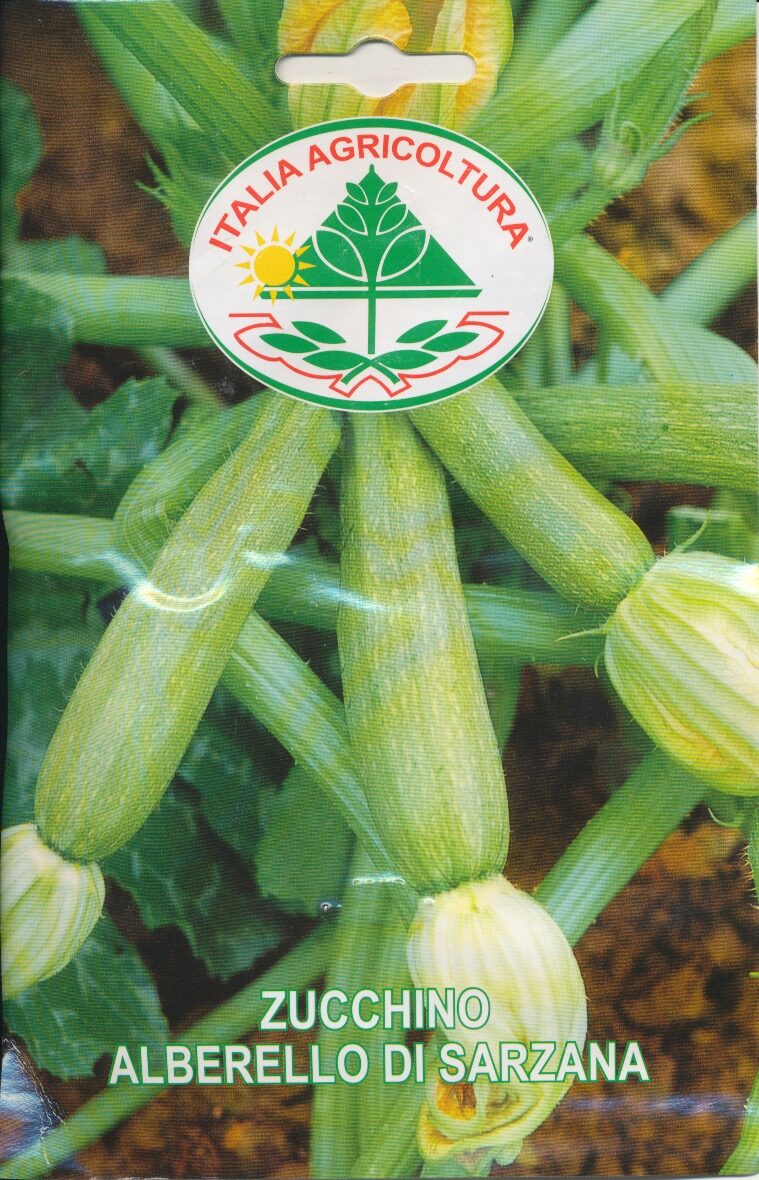 Squash - Alberello Di Sarzana