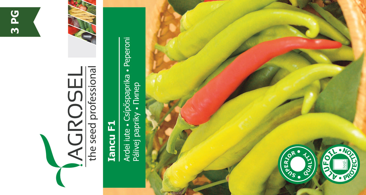 Chili Peber - Iancu F1 C.annuum - PG3