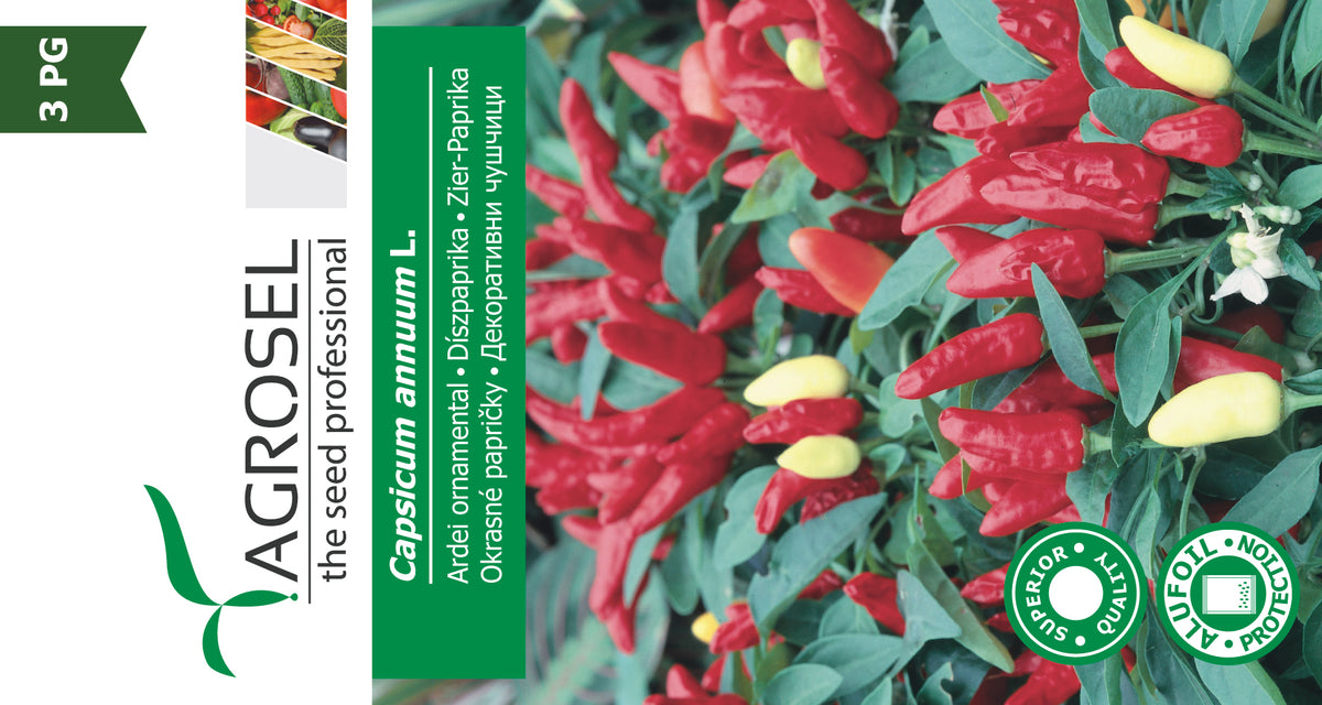 Pynte Peber - Capsicum annuum L.