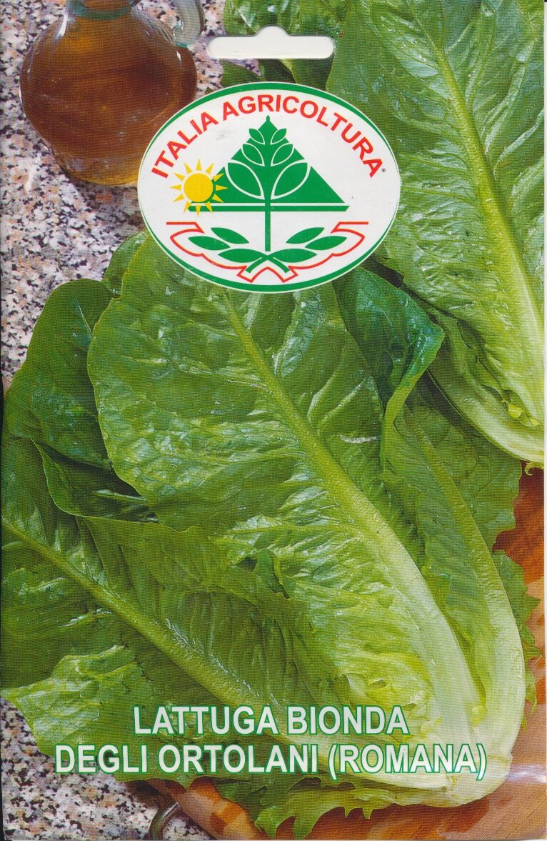 Salat, Romaine) - Bionda Degli Ortolani