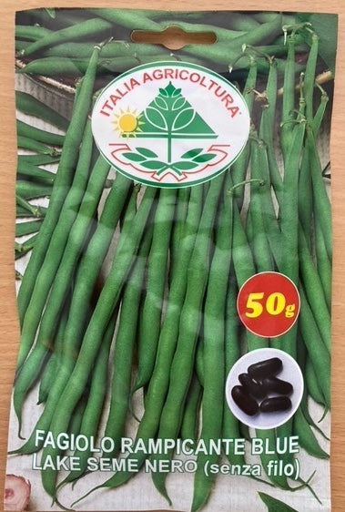 Bønne, Stang - rampicante Blue Lake Seme Nero (senza filo)  - 50 gram