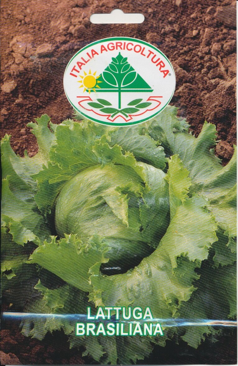 Salat, Iceberg - Brasiliana
