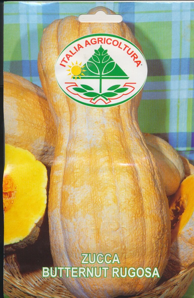 Græskar, Butternut - Rugosa