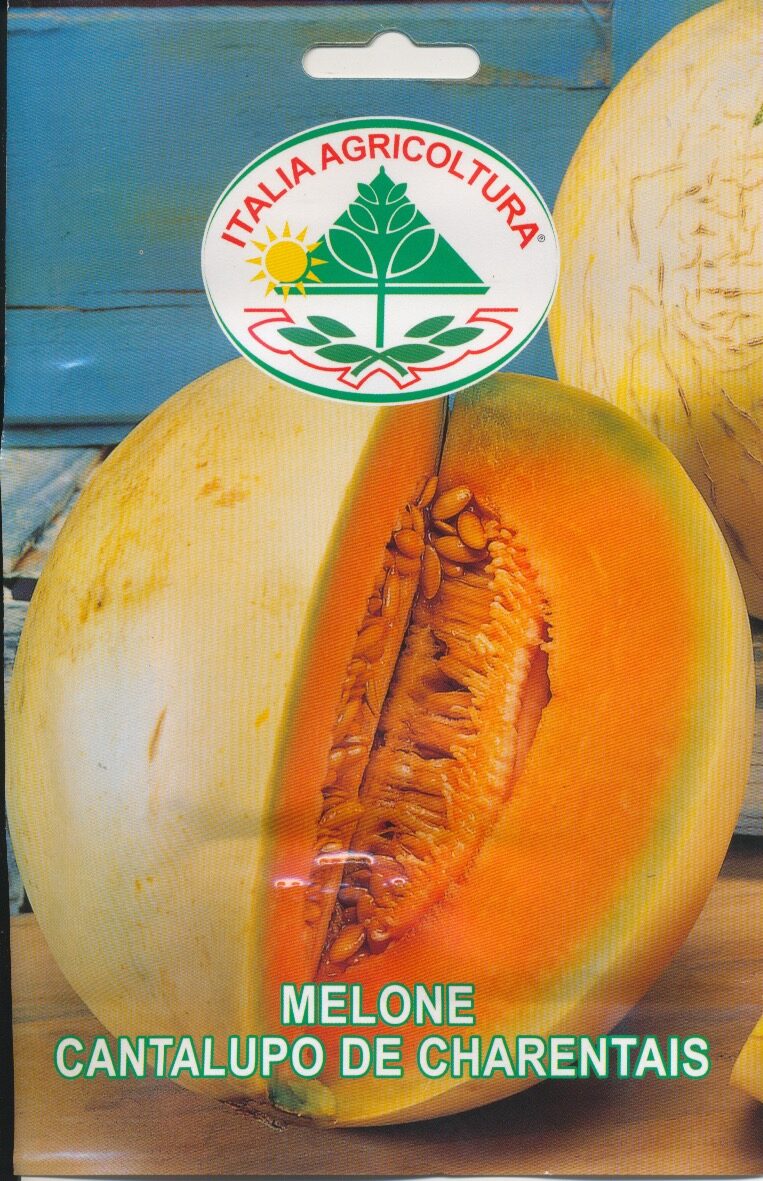 Melon - Cantalupo De Charentais