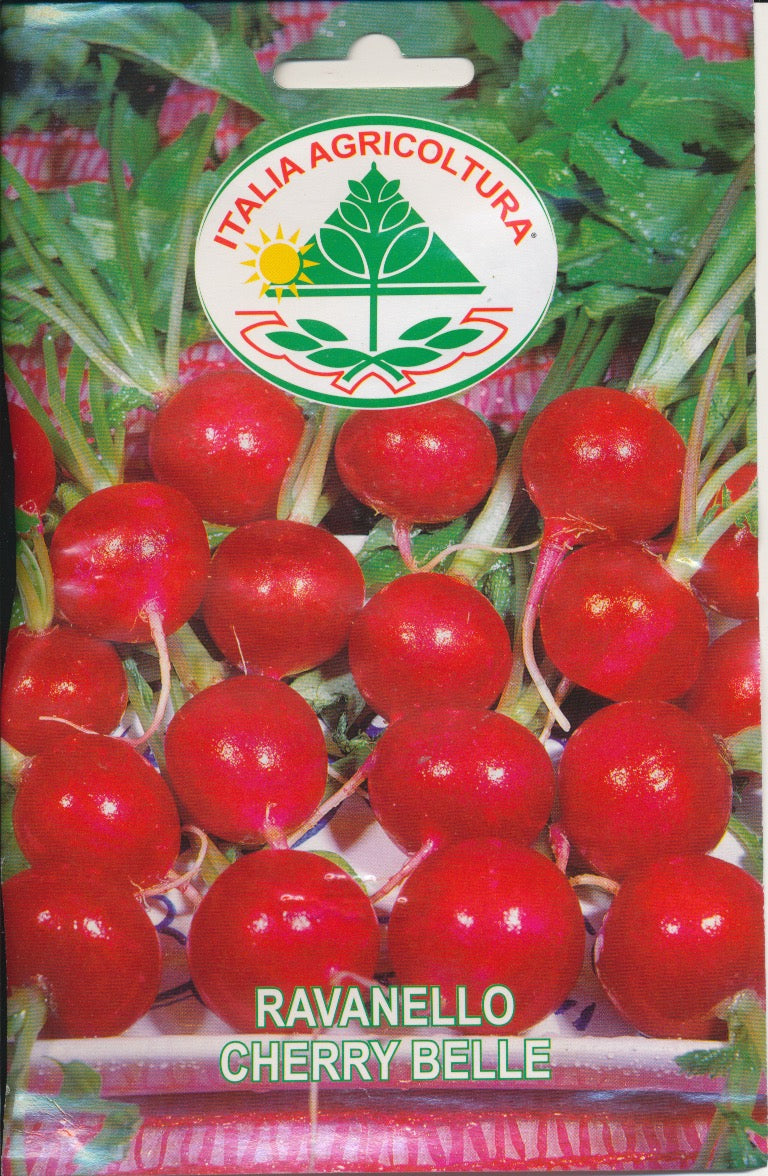Radis - Cherry Belle