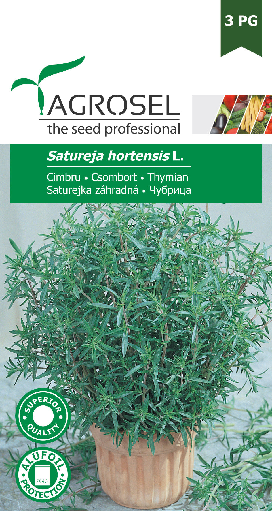 Sommer Sar - Satureja Hortensis L. - pg2