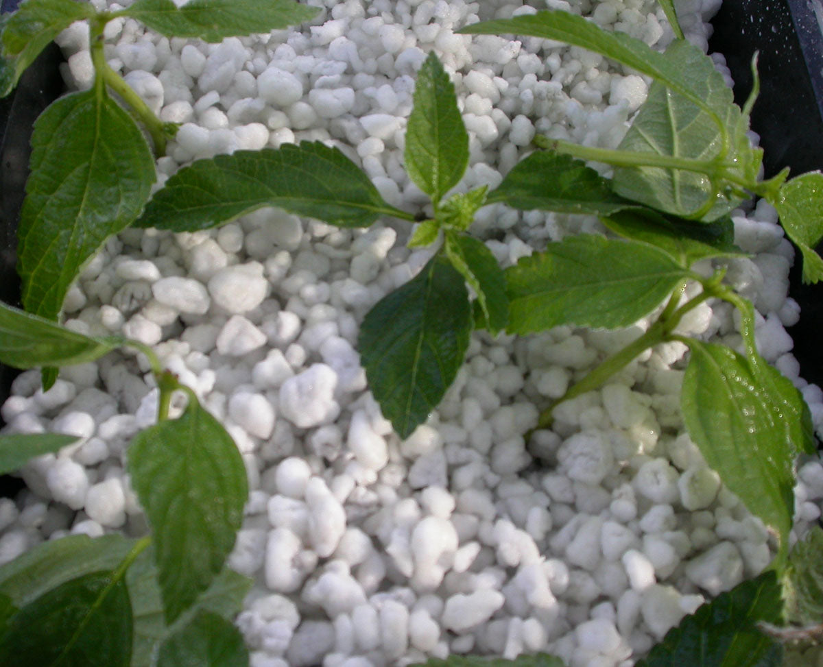 Perlite - Jordforbedring - 100 Liter