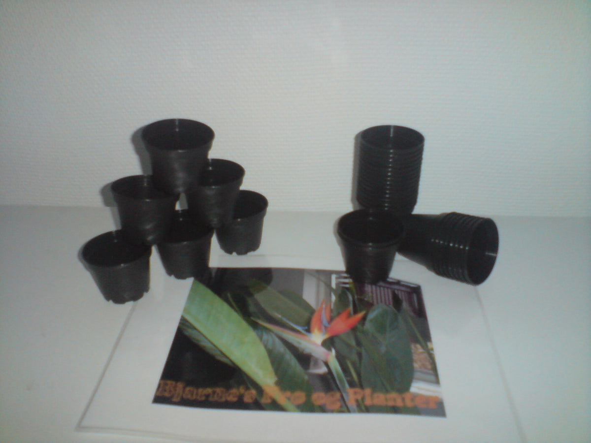 Planteskolepotter 6 cm - 50 stk