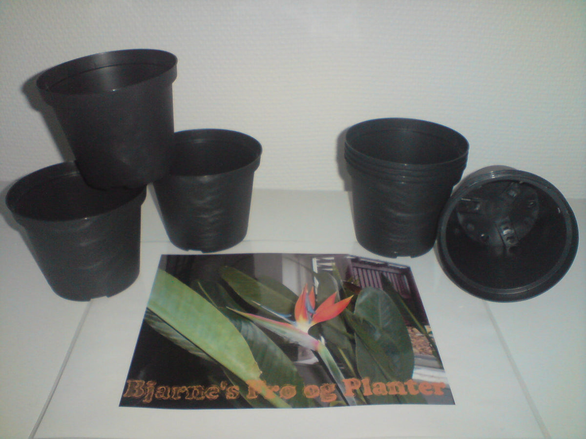 Planteskolepotter - GRÅ - Ø10 cm