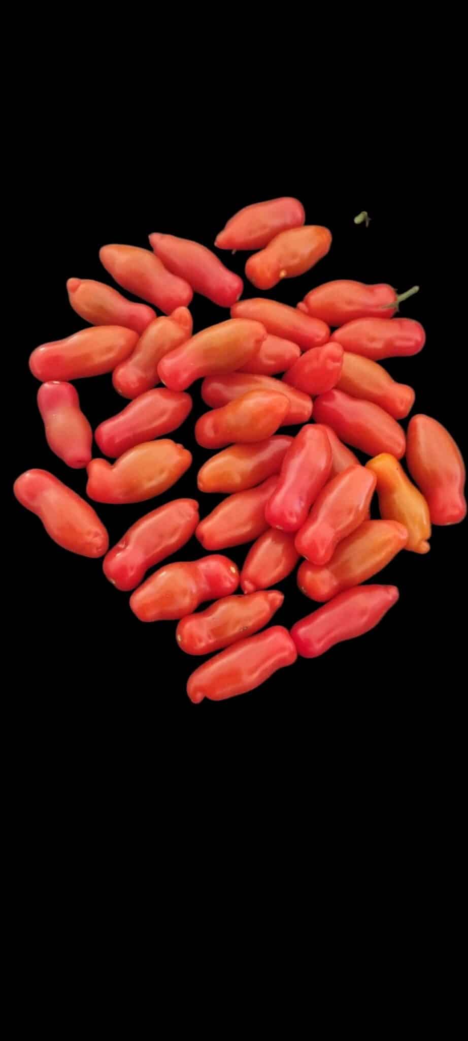 Tomat ‘Deluxe’