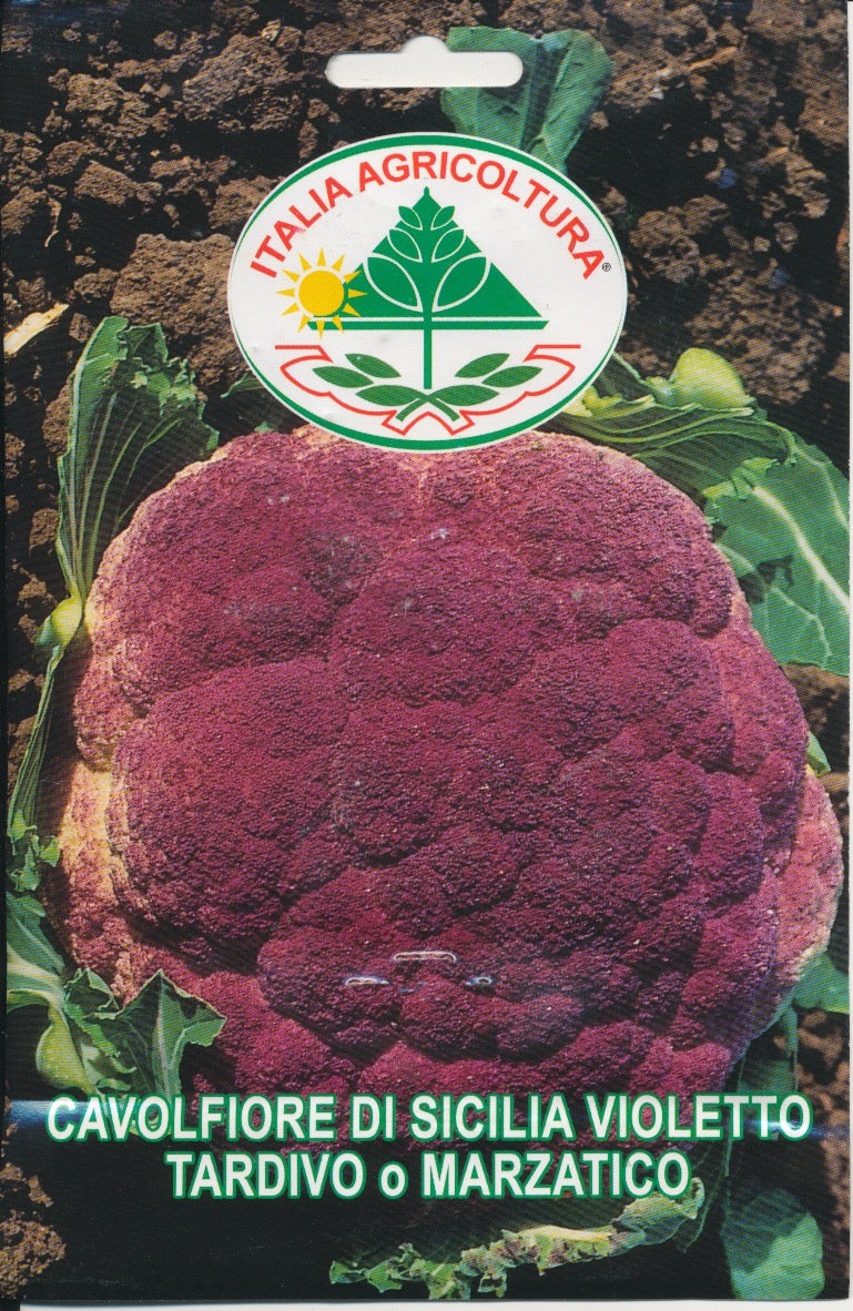 Kål, Blomkål - Di Sicilia Violetto Tardivo o Marzatico