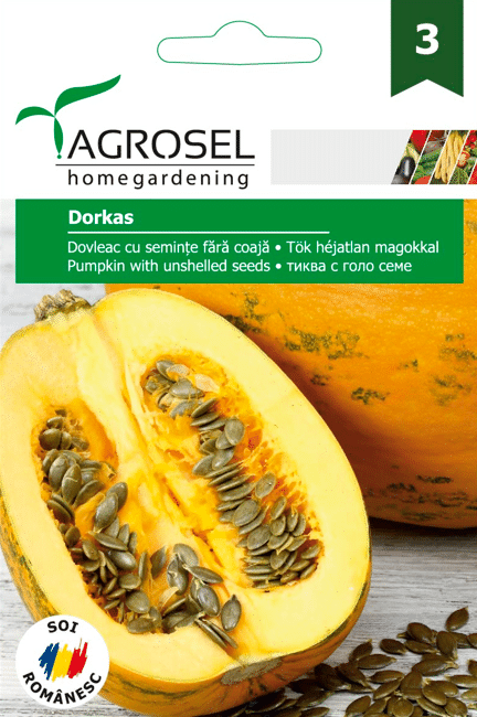 Græskar - Dorkas - PG3