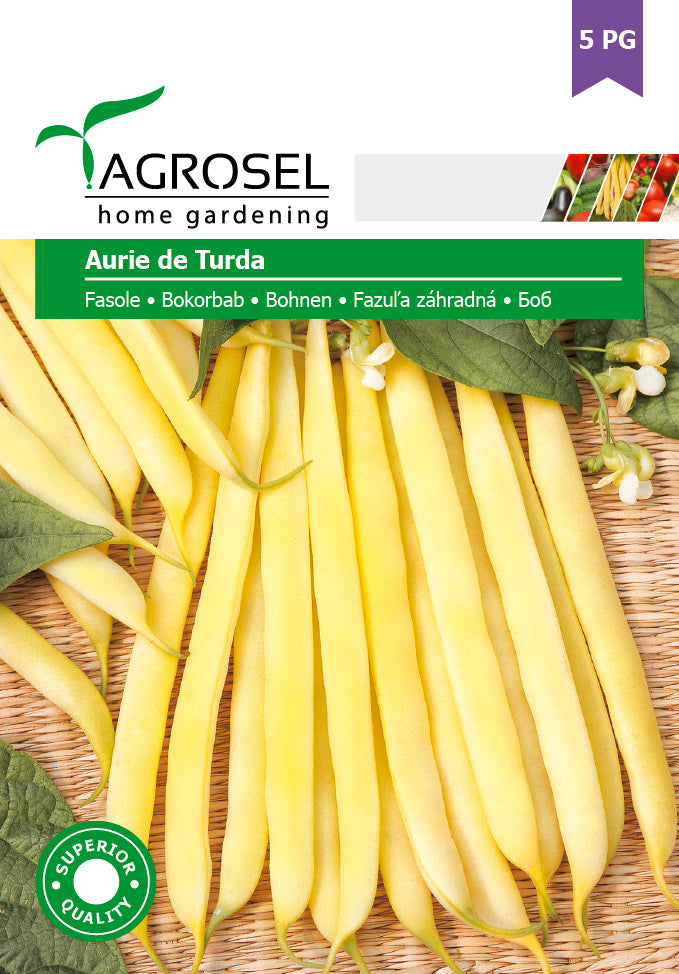 Buskbønne - Aurie de Turda - PG5