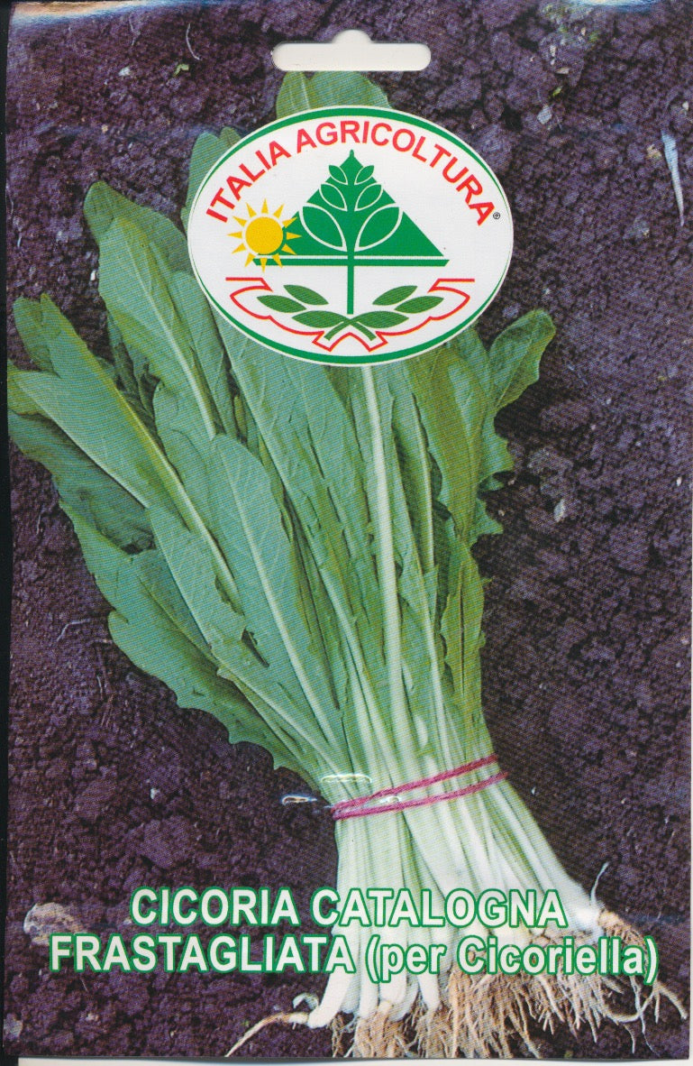 Cikorie, blad - Frastagliata (Per Cicoriella)